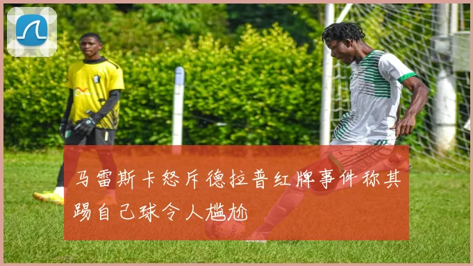 马雷斯卡怒斥德拉普红牌事件称其踢自己球令人尴尬