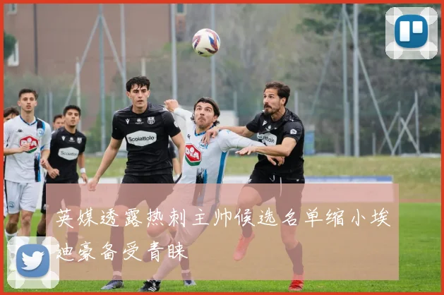 英媒透露热刺主帅候选名单缩小埃迪豪备受青睐